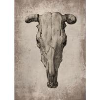 Klasikinis Retro Paslaptingas Iškasenų Skeletas Dinozauras Meno Plakatas Drobės Atspaudas Sienų Menas Paveikslai Svetainė Miegamasis Namų Dekoravimas 21cm×30cm NoFrame gray