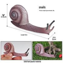 Darwin's Frog Life Cycle Model: Garden Bonsai Birthday Gift Decoration gray