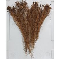 500g džiovintos šunvyšnės šaknys brown