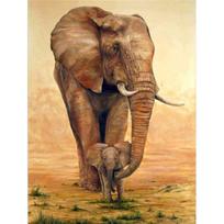 Animal Elephants DIY Paint By Numbers Set Acrylic Paints 40*50 Canvas Painting Wall Paintings Crafts For Adults Wholesale Handic 30x20cm no frame rožinė