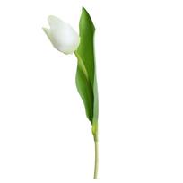 Faux Tulip Flowers Realistic PU Material Uv Resistant Artificial Tulips Light Yellow for Indoor Outdoor Decor Wedding Bouquet green