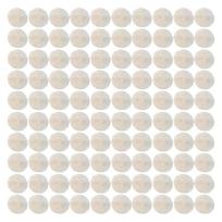 Round Capiz Shell Slices for Crafting Natural Polishing Shell Piece with Pre-Drilling 2 Holes for Jewelry Making, Hanging Wind Chimes and Creative DIY 1 white