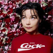 Enjoy Cock Bjork T-shirt Bjork T-Shirt Vintage Unisex Bjork Logo Tee Unisex Tee XXL brown