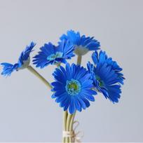 INS Style Leafless Freesia & Gerbera PU Fake Flowers - 6 Heads for Wedding & Home Decor blue