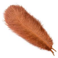 10 VNT Spalvingų Natūralių Stručio Plunksnų 20-50 CM 8-20 colių Rankdarbių Aksesuarams Vestuvių Stalo Puošybai Pluma 15-20cm 6-8inch