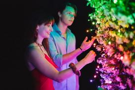 Twinkly Strings TWS250SPP-TEU LED girlianda, 250 RGBW, 5 mm, permatoma