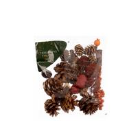 Rinkinys vainiko dekoravimui Christmas Touch NS23X041, 20 mm, ruda sp.