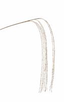 Dirbtinė šakelė Christmas Touch Glitter, aukso sp., 108 cm