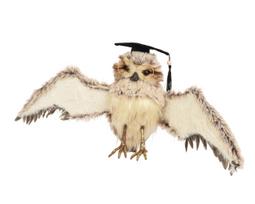 Kalėdinė dekoracija Decoris Owl 704628, 28 cm, ruda sp.