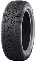 Vasarinės padangos Nankang AS-1 255/35 R21 98 W XL (C B B 71dB)