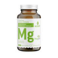 ECOSH Magtein® magnio L-treonatas 36 mg, 120 kapsulių