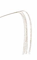 Dirbtinė šakelė Christmas Touch Glitter, aukso sp., 108 cm