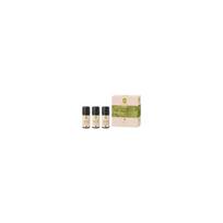 Primavera Freshness & Energy Aroma Sauna Set - Cognitive set