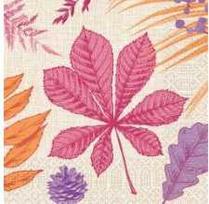 Multi Servetėlės 33x33 cm, 3 sluoksnių, 1/4 lankstymo, Bright Autumn, 10 pakelių x 50 vnt./dėžėje
