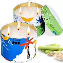 Lauko žvakė su citronela, 737 g, skirta naudoti lauke, dekoratyvinė, lauko žvakė su 3 dagčiais, vasaros stovyklavimo žvakės, lauko žvakės terasai, sodui, balkonui, stovyklavimui