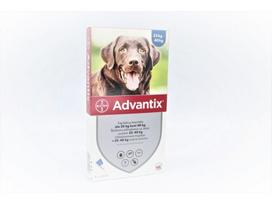 ADVANTIX 400 mg tirpalas 4 ml šunims, sveriantiems 25–40 kg, N4