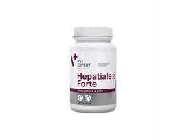 HEPATIALE FORTE mažiems šunims ir katėms 170 mg N40 Vet Expert