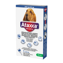 ATAXXA 2000/400 mg tirpalas 4 ml šunims virš 25 kg N1 KRKA