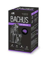 BACHUS Calm&Brave tabletės N60