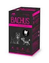 BACHUS Small&Healthy tabletės N60