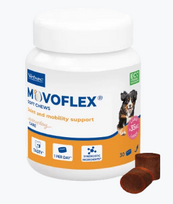 Movoflex L 6 g N30 sąnariams palaikyti, šunims virš 35 kg