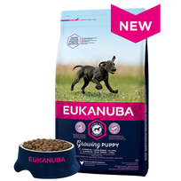 Eukanuba Puppy & Junior Large Breed Chicken sausas maistas didelių veislių šuniukams 15 kg