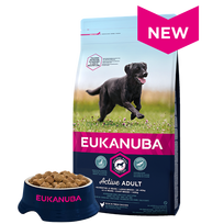 Eukanuba Adult Large Breed Chicken sausas maistas didelių veislių suaugusiems šunims 15 kg