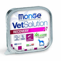 Monge VetSolution Canine Recovery 150 g