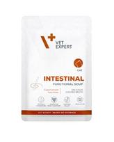 4T VD kačių INTESTINAL FUNCTIONAL SOUP 40 g