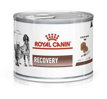 Royal Canin RECOVERY 195 g (PERKANT 12 VNT.)