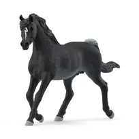 schleich HORSE CLUB Arabų eržilas, 5 m., arkliai, juoda, pilka, balta, plastikas