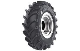ASCENSO TDB 120 R-1 Padanga žemės ūkio 11.2-28 RAE TDB120 8PR