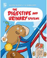Digestive and Urinary Systems
