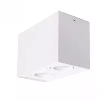Altalusse Lubinis šviestuvas, lubų taškinis prožektorius INL-7017D-02 2x GU10 baltas (8599879990731)