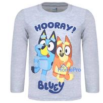 Bluey Hooray! Grey children's long-sleeve t-shirt, top 6 years / 116 cm