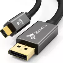 Kabelis Reagle DisplayPort Mini - DisplayPort 1.5m sidabrinė