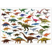 Prieiga Plakatas Dinozaurų Enciklopedija A1 Gyvūnas Akvariumas gray