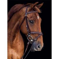 5D „pasidaryk pats“ deimantų tapybos rinkinys „Galloping Horse“ deimantinis siuvinėjimas cirkoniais Namų dekoracijos Square 30x40cm