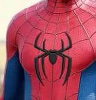 3D Spider Pattern Spider-Man  Performance Jumpsuit Cosplay Costume Slim Fit Breathable Adult 2XL raudona