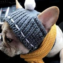 Knitted Pet Head Wear with a pom-pom Winter Dog Cap New Puppy Hat  for Small Dogs French Bulldog