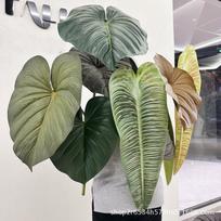 Pothos Leaf Artificial Taro Stem: Large Indoor Decoration for Landscaping and Film Sets Small Autumn Green black