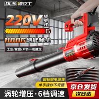 Industrial High-Power Electric Dust Blower CN plug (adapter included)