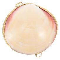 Pearl Clam Storage Box Delicate Ring Case Earring Chic Jewelry Desktop Decor Small Necklace Container 8x7cm