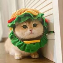 Party Hamburger Pet Burger Hat Cross Dressing Funny Cat Headgear Adjustable Cosplay Photo Prop Hat for Kitten S beige