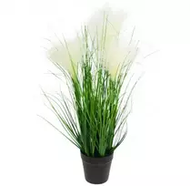 Dirbtinė dekoratyvinė pampų žolė vazonėlyje, 65 cm