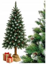 Dirbtinė eglutė su natūraliu kamienu Diamond Pine, 180 cm
