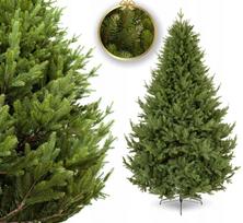 Dirbtinė eglutė PREMIUM SPRUCE, 220 cm, PE+PVC, 3D