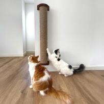 Katės sieninis draskyklė, 100 cm, stora virvė, su varžtais