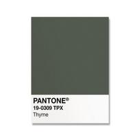 Pantone spalvų raidžių raštų plakatai Spaudiniai Rožinė Geltona Žalia Modernus drobės paveikslas Sienos meno paveikslai Svetainė Namų dekoras 21cm×30cm NoFrame gray