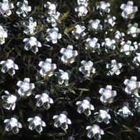 8 režimų vyšnių žiedų LED girlianda Lauko saulės energijos Sakura girlianda Sodo Kalėdų Vestuvių Šventės Krūmynų Gatvės Dekoravimas 5M 20LED,white gray